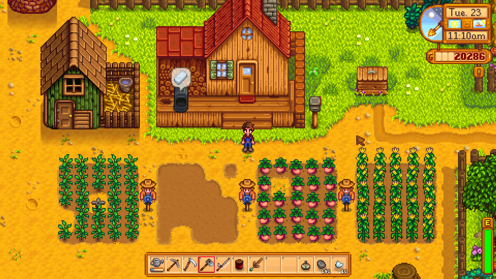 stardewvalley-farm