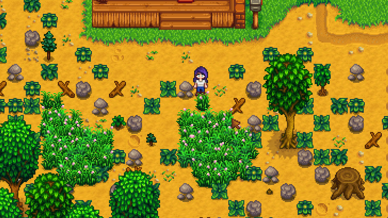 psycheplays_stardew-valley-review_07