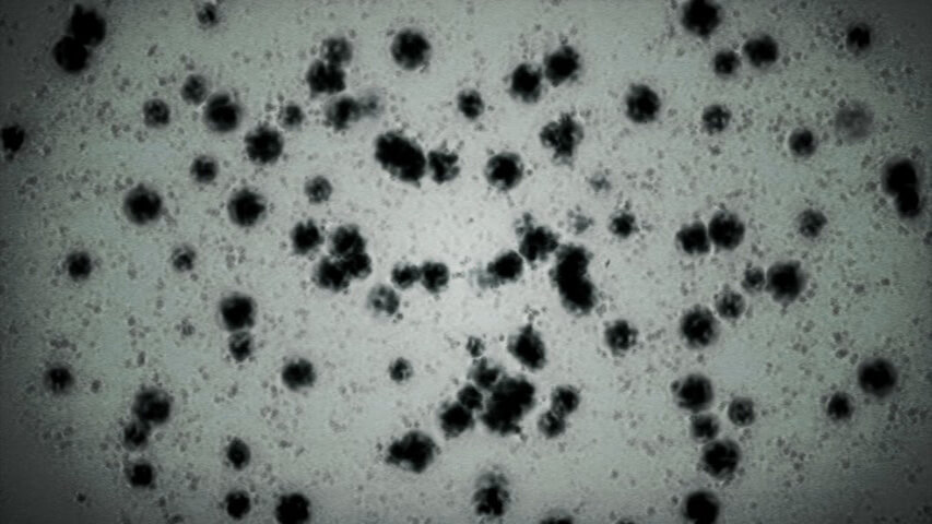 t-Virus